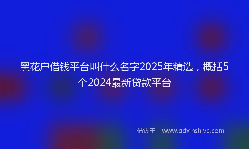 黑花户借钱平台叫什么名字2025年精选，概括5个2024最新贷款平台