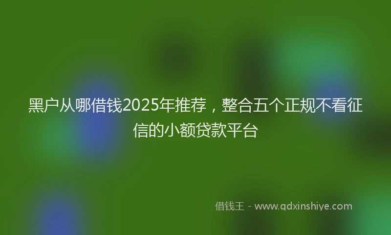 黑户从哪借钱2025年推荐，整合五个正规不看征信的小额贷款平台
