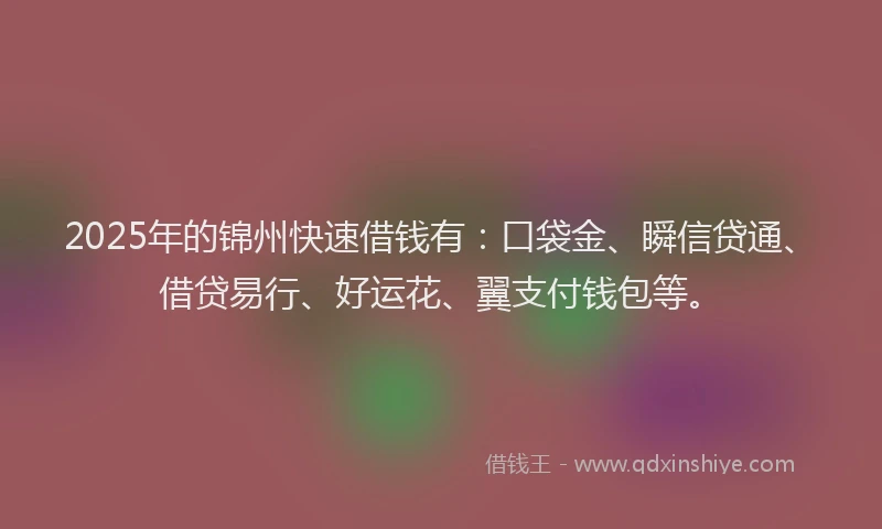 2025年的锦州快速借钱有：口袋金、瞬信贷通、借贷易行、好运花、翼支付钱包等。