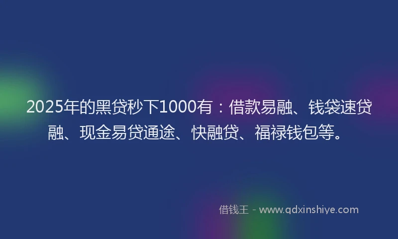 2025年的黑贷秒下1000有：借款易融、钱袋速贷融、现金易贷通途、快融贷、福禄钱包等。