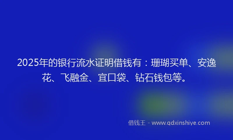 2025年的银行流水证明借钱有：珊瑚买单、安逸花、飞融金、宜口袋、钻石钱包等。
