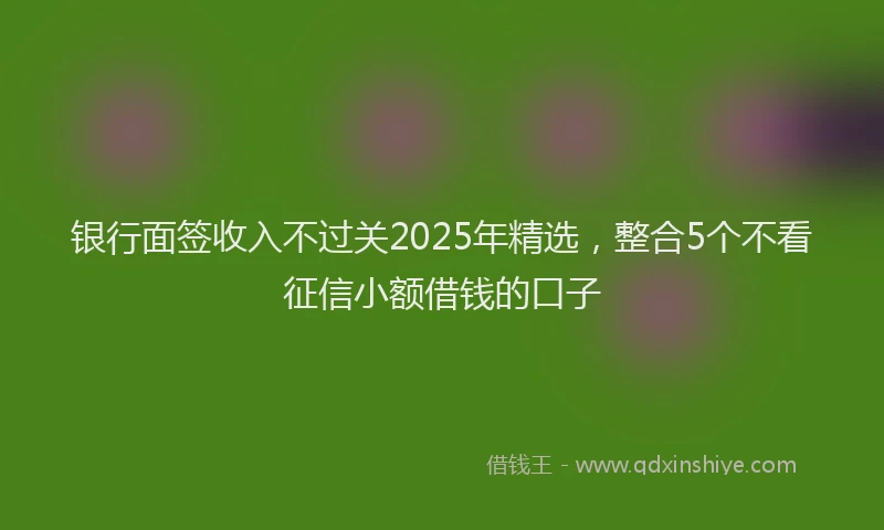 银行面签收入不过关2025年精选，整合5个不看征信小额借钱的口子