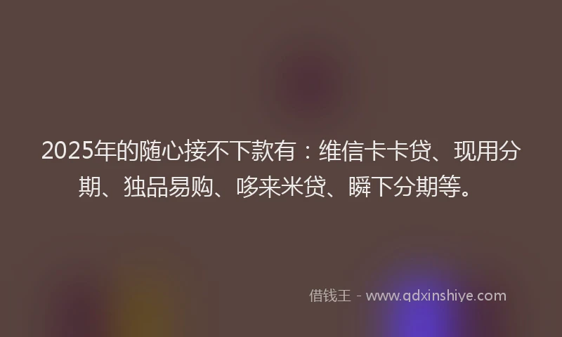 2025年的随心接不下款有：维信卡卡贷、现用分期、独品易购、哆来米贷、瞬下分期等。