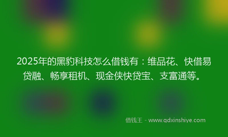 2025年的黑豹科技怎么借钱有：维品花、快借易贷融、畅享租机、现金侠快贷宝、支富通等。