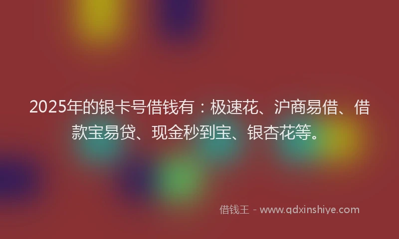 2025年的银卡号借钱有：极速花、沪商易借、借款宝易贷、现金秒到宝、银杏花等。