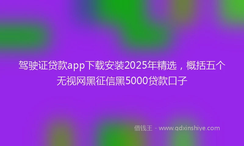驾驶证贷款app下载安装2025年精选，概括五个无视网黑征信黑5000贷款口子