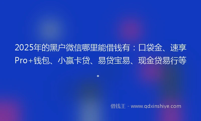 2025年的黑户微信哪里能借钱有：口袋金、速享Pro+钱包、小赢卡贷、易贷宝易、现金贷易行等。