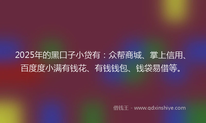 2025年的黑口子小贷有：众帮商城、掌上信用、百度度小满有钱花、有钱钱包、钱袋易借等。