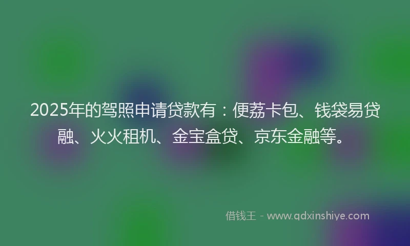 2025年的驾照申请贷款有：便荔卡包、钱袋易贷融、火火租机、金宝盒贷、京东金融等。