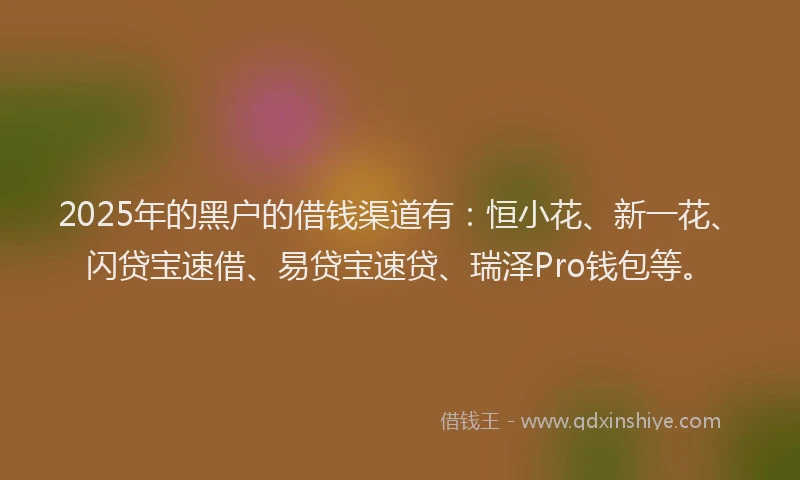 2025年的黑户的借钱渠道有：恒小花、新一花、闪贷宝速借、易贷宝速贷、瑞泽Pro钱包等。