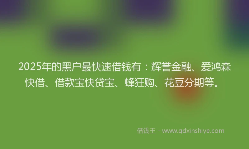 2025年的黑户最快速借钱有：辉誉金融、爱鸿森快借、借款宝快贷宝、蜂狂购、花豆分期等。