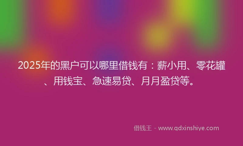 2025年的黑户可以哪里借钱有：薪小用、零花罐、用钱宝、急速易贷、月月盈贷等。