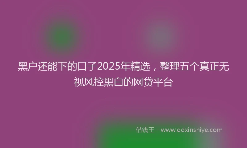黑户还能下的口子2025年精选，整理五个真正无视风控黑白的网贷平台