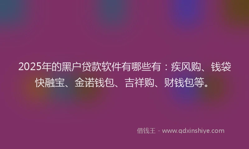 2025年的黑户贷款软件有哪些有：疾风购、钱袋快融宝、金诺钱包、吉祥购、财钱包等。