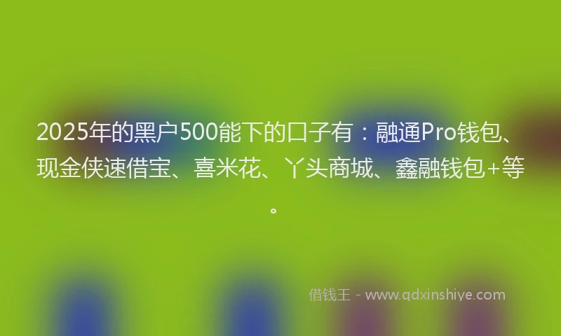 2025年的黑户500能下的口子有：融通Pro钱包、现金侠速借宝、喜米花、丫头商城、鑫融钱包+等。