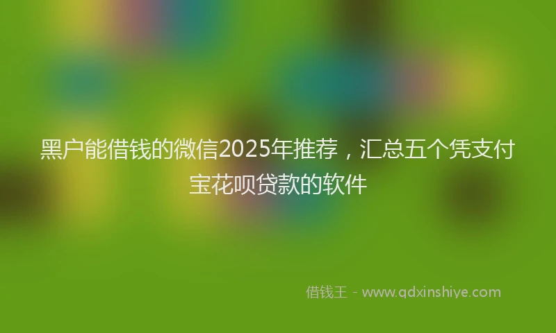 黑户能借钱的微信2025年推荐，汇总五个凭支付宝花呗贷款的软件
