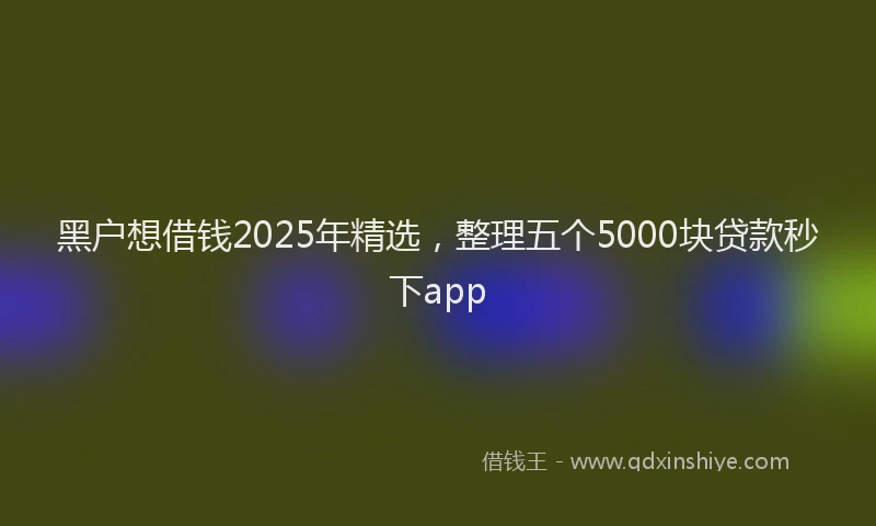 黑户想借钱2025年精选，整理五个5000块贷款秒下app