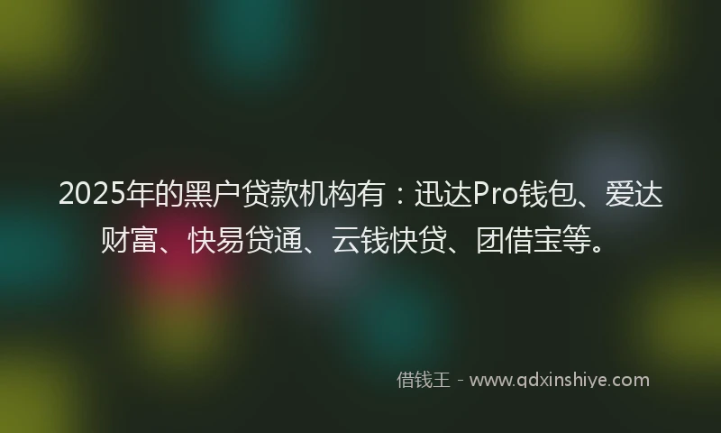 2025年的黑户贷款机构有：迅达Pro钱包、爱达财富、快易贷通、云钱快贷、团借宝等。