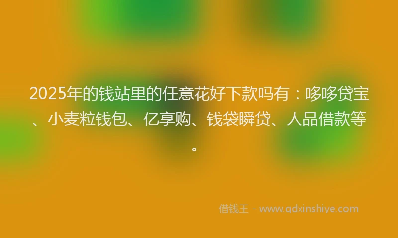 2025年的钱站里的任意花好下款吗有：哆哆贷宝、小麦粒钱包、亿享购、钱袋瞬贷、人品借款等。