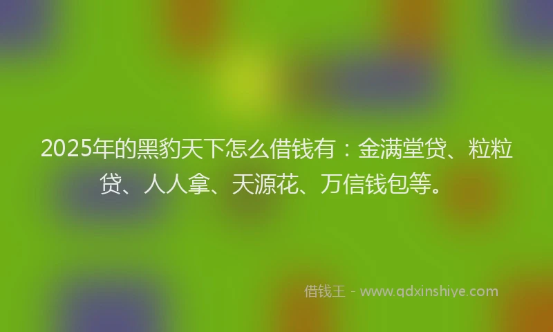 2025年的黑豹天下怎么借钱有：金满堂贷、粒粒贷、人人拿、天源花、万信钱包等。