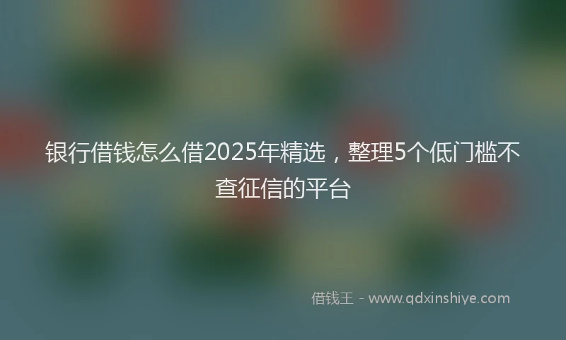 银行借钱怎么借2025年精选，整理5个低门槛不查征信的平台