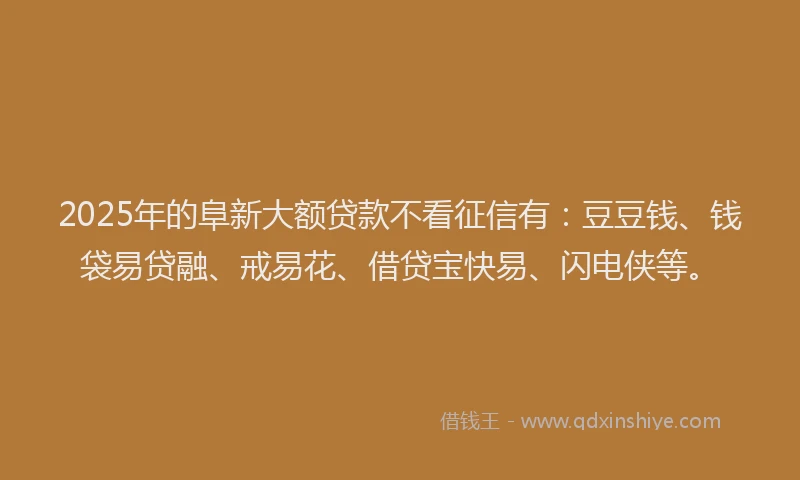 2025年的阜新大额贷款不看征信有：豆豆钱、钱袋易贷融、戒易花、借贷宝快易、闪电侠等。