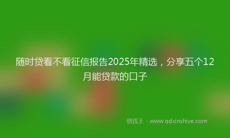 随时贷看不看征信报告2025年精选，分享五个12月能贷款的口子
