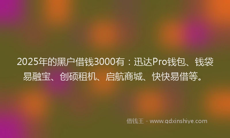 2025年的黑户借钱3000有：迅达Pro钱包、钱袋易融宝、创硕租机、启航商城、快快易借等。