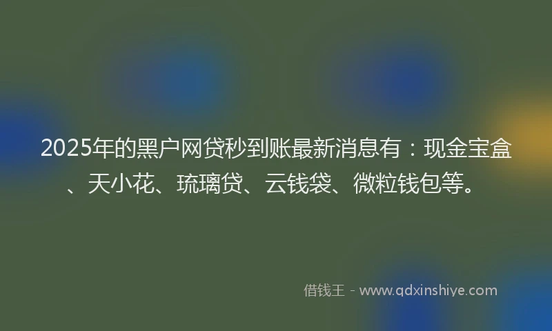 2025年的黑户网贷秒到账最新消息有：现金宝盒、天小花、琉璃贷、云钱袋、微粒钱包等。
