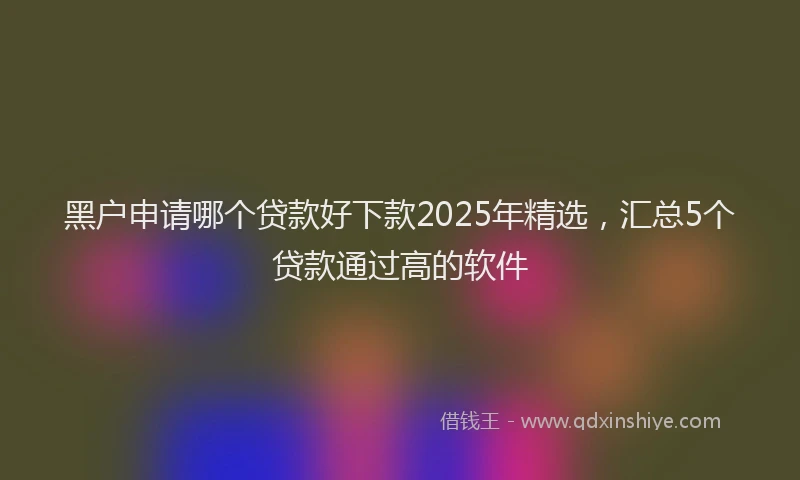 黑户申请哪个贷款好下款2025年精选，汇总5个贷款通过高的软件