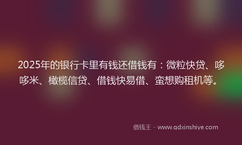 2025年的银行卡里有钱还借钱有：微粒快贷、哆哆米、橄榄信贷、借钱快易借、蛮想购租机等。
