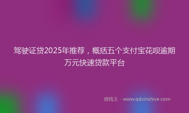 驾驶证贷2025年推荐，概括五个支付宝花呗逾期万元快速贷款平台
