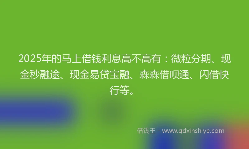 2025年的马上借钱利息高不高有：微粒分期、现金秒融途、现金易贷宝融、森森借呗通、闪借快行等。