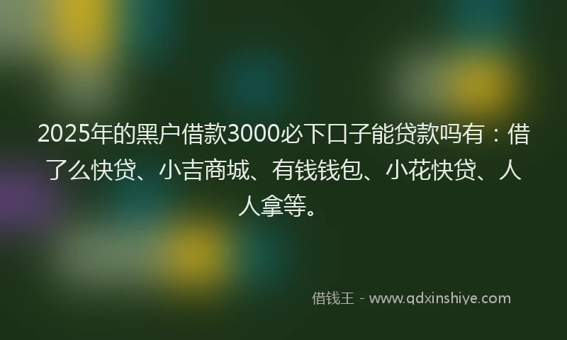 2025年的黑户借款3000必下口子能贷款吗有：借了么快贷、小吉商城、有钱钱包、小花快贷、人人拿等。