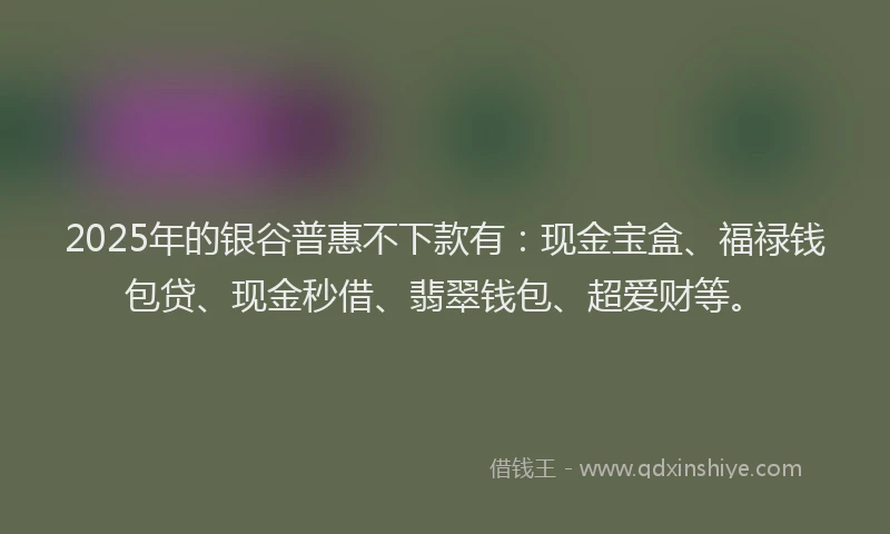 2025年的银谷普惠不下款有：现金宝盒、福禄钱包贷、现金秒借、翡翠钱包、超爱财等。
