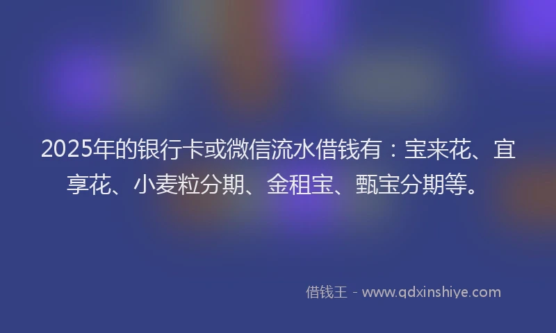 2025年的银行卡或微信流水借钱有：宝来花、宜享花、小麦粒分期、金租宝、甄宝分期等。