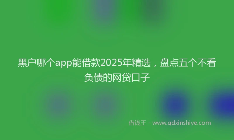 黑户哪个app能借款2025年精选，盘点五个不看负债的网贷口子