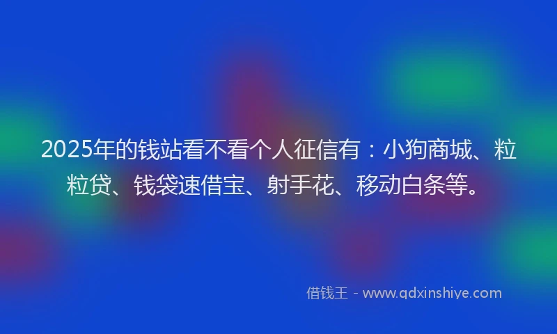 2025年的钱站看不看个人征信有：小狗商城、粒粒贷、钱袋速借宝、射手花、移动白条等。