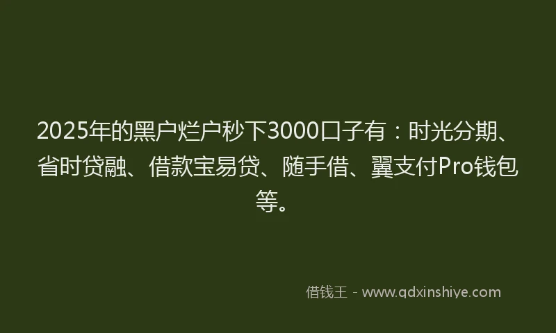 2025年的黑户烂户秒下3000口子有：时光分期、省时贷融、借款宝易贷、随手借、翼支付Pro钱包等。