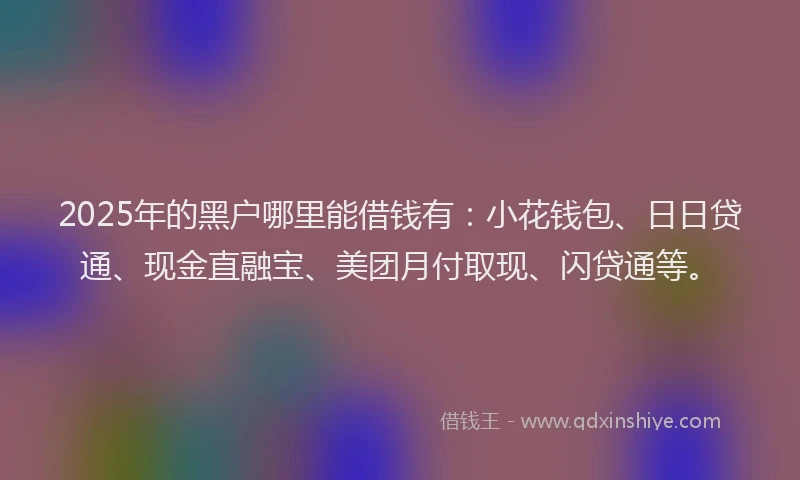 2025年的黑户哪里能借钱有：小花钱包、日日贷通、现金直融宝、美团月付取现、闪贷通等。