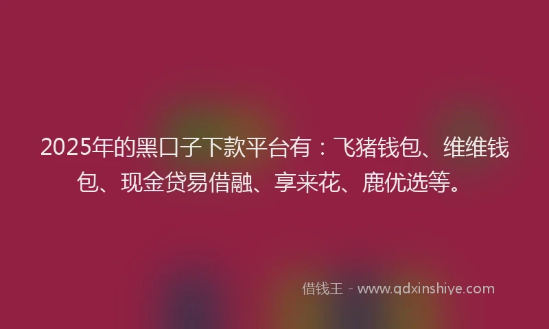 2025年的黑口子下款平台有：飞猪钱包、维维钱包、现金贷易借融、享来花、鹿优选等。