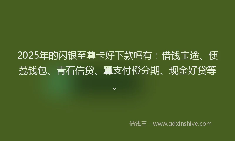 2025年的闪银至尊卡好下款吗有：借钱宝途、便荔钱包、青石信贷、翼支付橙分期、现金好贷等。