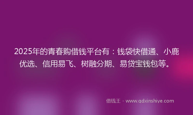 2025年的青春购借钱平台有：钱袋快借通、小鹿优选、信用易飞、树融分期、易贷宝钱包等。