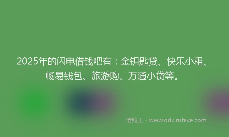 2025年的闪电借钱吧有：金钥匙贷、快乐小租、畅易钱包、旅游购、万通小贷等。