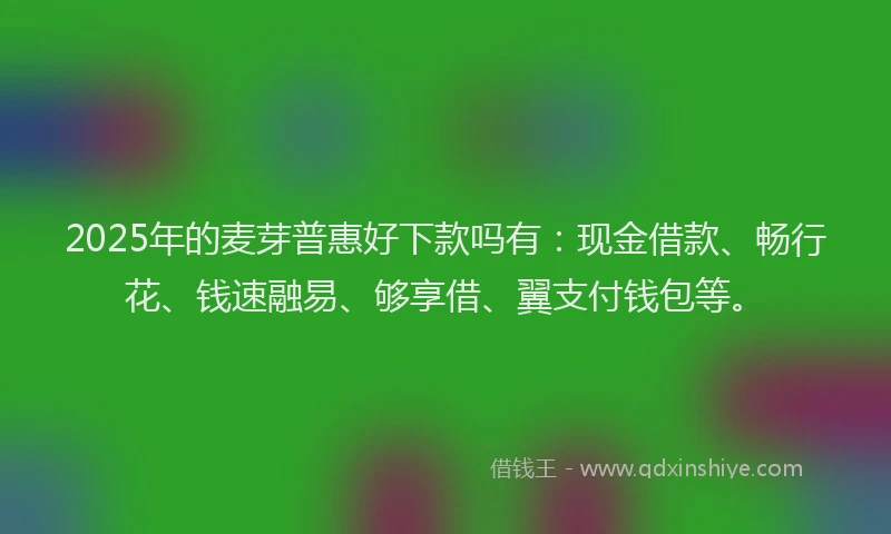 2025年的麦芽普惠好下款吗有：现金借款、畅行花、钱速融易、够享借、翼支付钱包等。