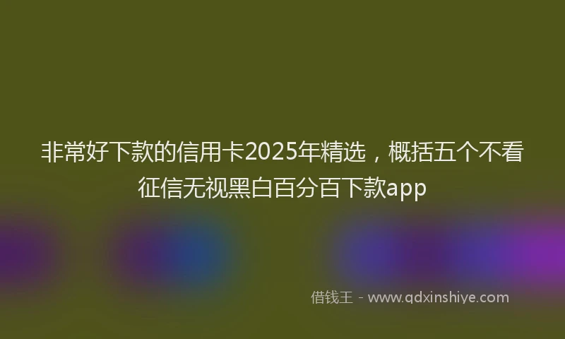 非常好下款的信用卡2025年精选，概括五个不看征信无视黑白百分百下款app