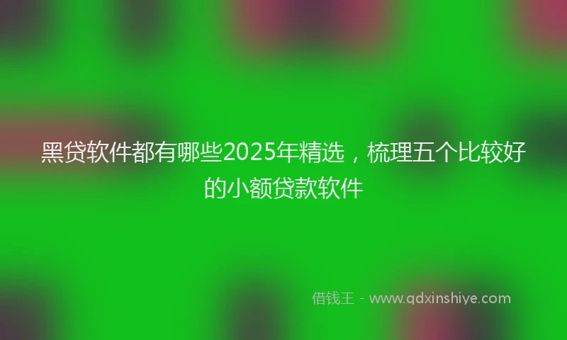 黑贷软件都有哪些2025年精选，梳理五个比较好的小额贷款软件