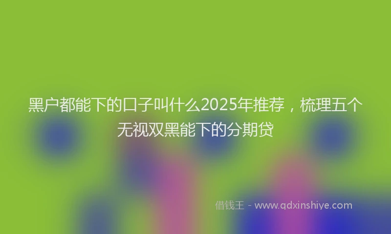 黑户都能下的口子叫什么2025年推荐，梳理五个无视双黑能下的分期贷