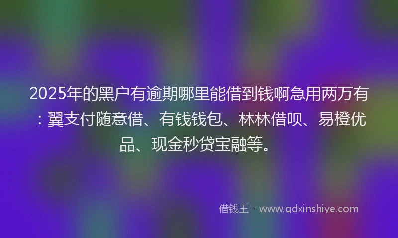 2025年的黑户有逾期哪里能借到钱啊急用两万有：翼支付随意借、有钱钱包、林林借呗、易橙优品、现金秒贷宝融等。