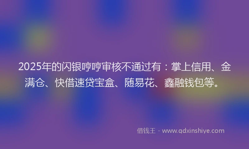 2025年的闪银哼哼审核不通过有：掌上信用、金满仓、快借速贷宝盒、随易花、鑫融钱包等。